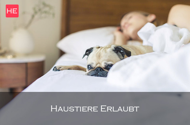 haustiere erlaubt kolberg