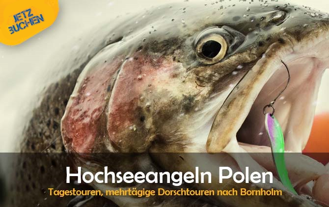 hochseeangeln-polen