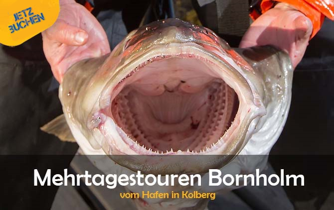 mehrtagestouren-bornholm